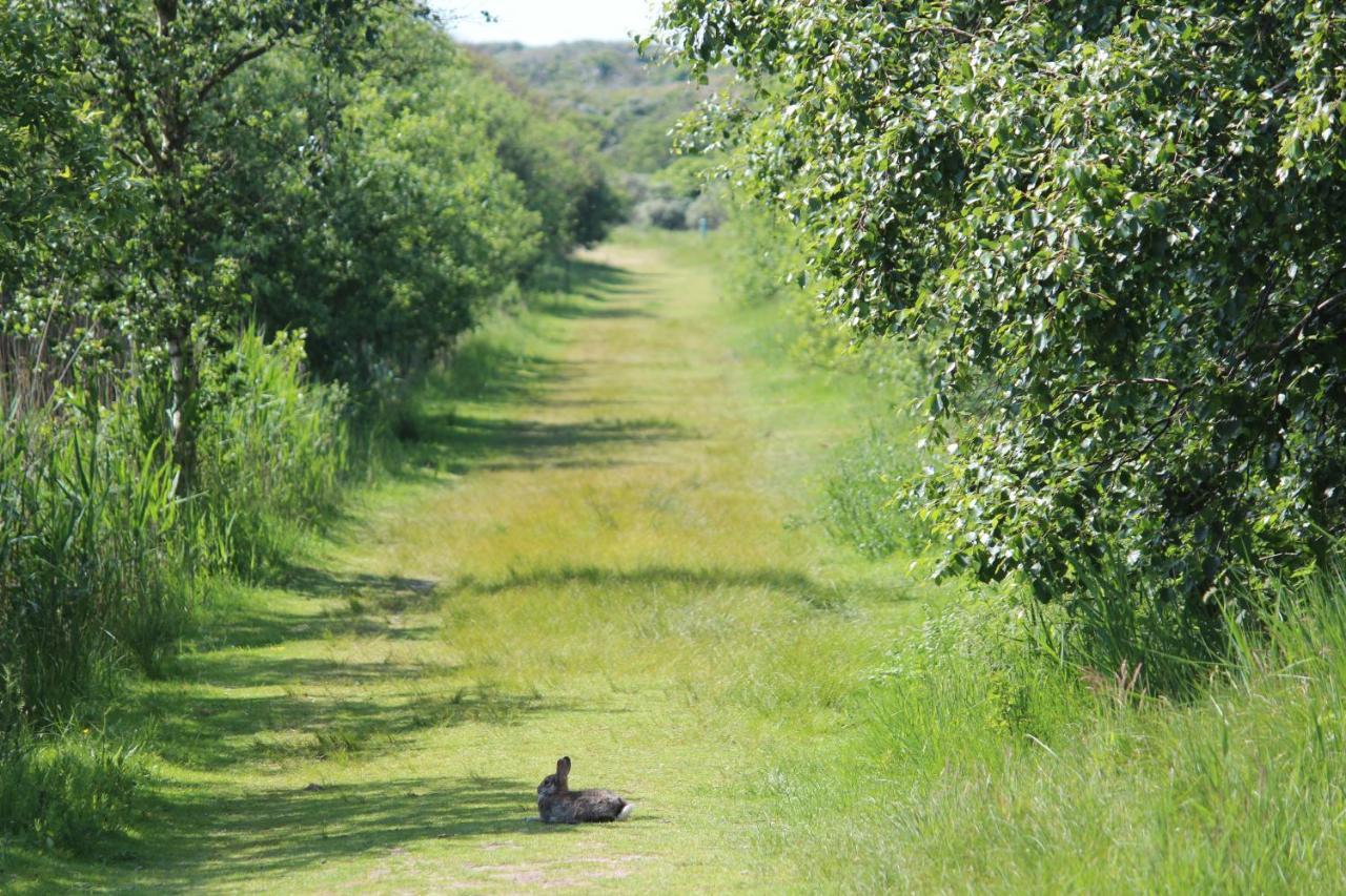 Seevilla Wietjes Whg 7 Baltrum Exterior photo